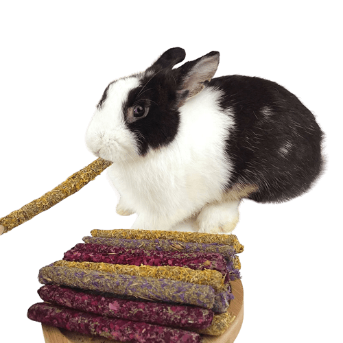 Floral Forage Mix Sticks with Calendula, Rose, and Myosotis Flower Treat for Rabbit, Hamsters, Guinea Pigs, Chinchillas & Small Rodents