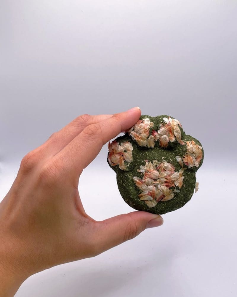 Timothy Hay Floral Paw Print Treat For Rabbit, Hamsters, Guinea Pigs, Chinchillas & Small Rodents