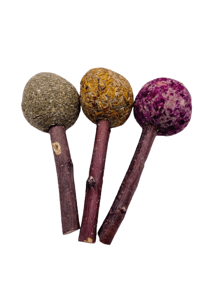 Timothy Hay Floral Grass Ball Lollipops Treat for Rabbit, Hamsters, Guinea Pigs, Chinchillas & Small Rodents.