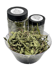 Premium Dandelion Leaves Forage Treat For Rabbit, Hamsters, Guinea Pigs, Chinchillas & Small Rodents