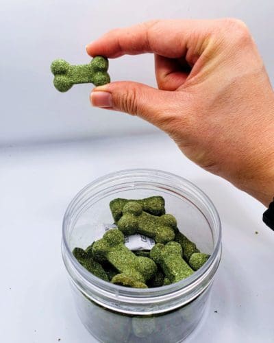 Doggy Bone Biscuits Timothy Grass Hay Perfect for Rabbit, Hamsters, Guinea Pigs, Chinchillas & Small Rodents.