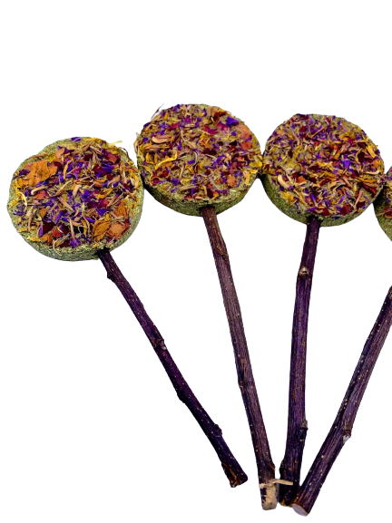 Timothy Hay Floral Grass Biscuit Lollipop Treat With Petals Rabbit, Hamsters Guinea Pigs Chinchillas Rodents and other Small Rodents