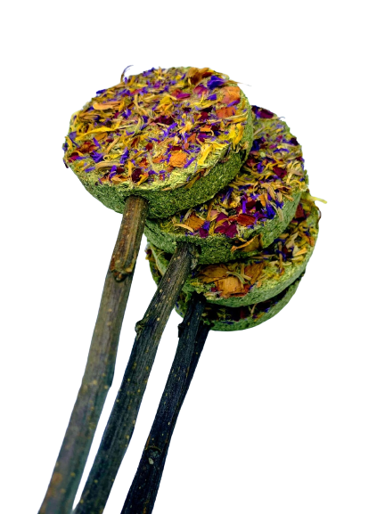 Timothy Hay Floral Grass Biscuit Lollipop Treat With Petals Rabbit, Hamsters Guinea Pigs Chinchillas Rodents and other Small Rodents - Image 2