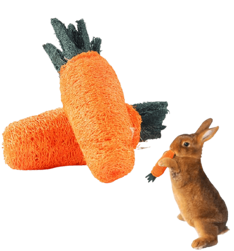 Rabbit Carrot Loofah and Chew Toy Treat For Rabbit, Hamsters, Guinea Pigs, Chinchillas & Small Rodents