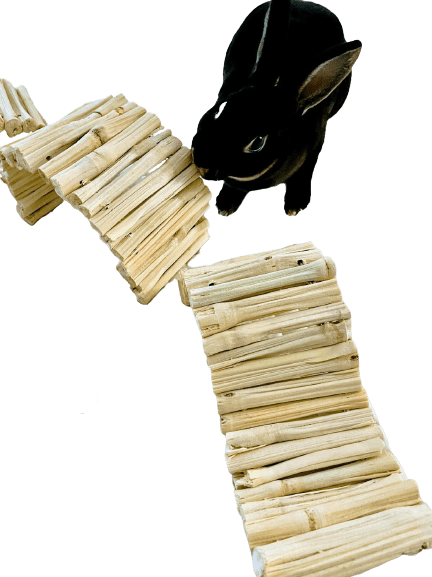 Sweet Dried Bamboo Bendable Bridge Treat and Chew Toy For Rabbits, Hamsters, Guinea Pigs, Chinchillas and Small Rodents.