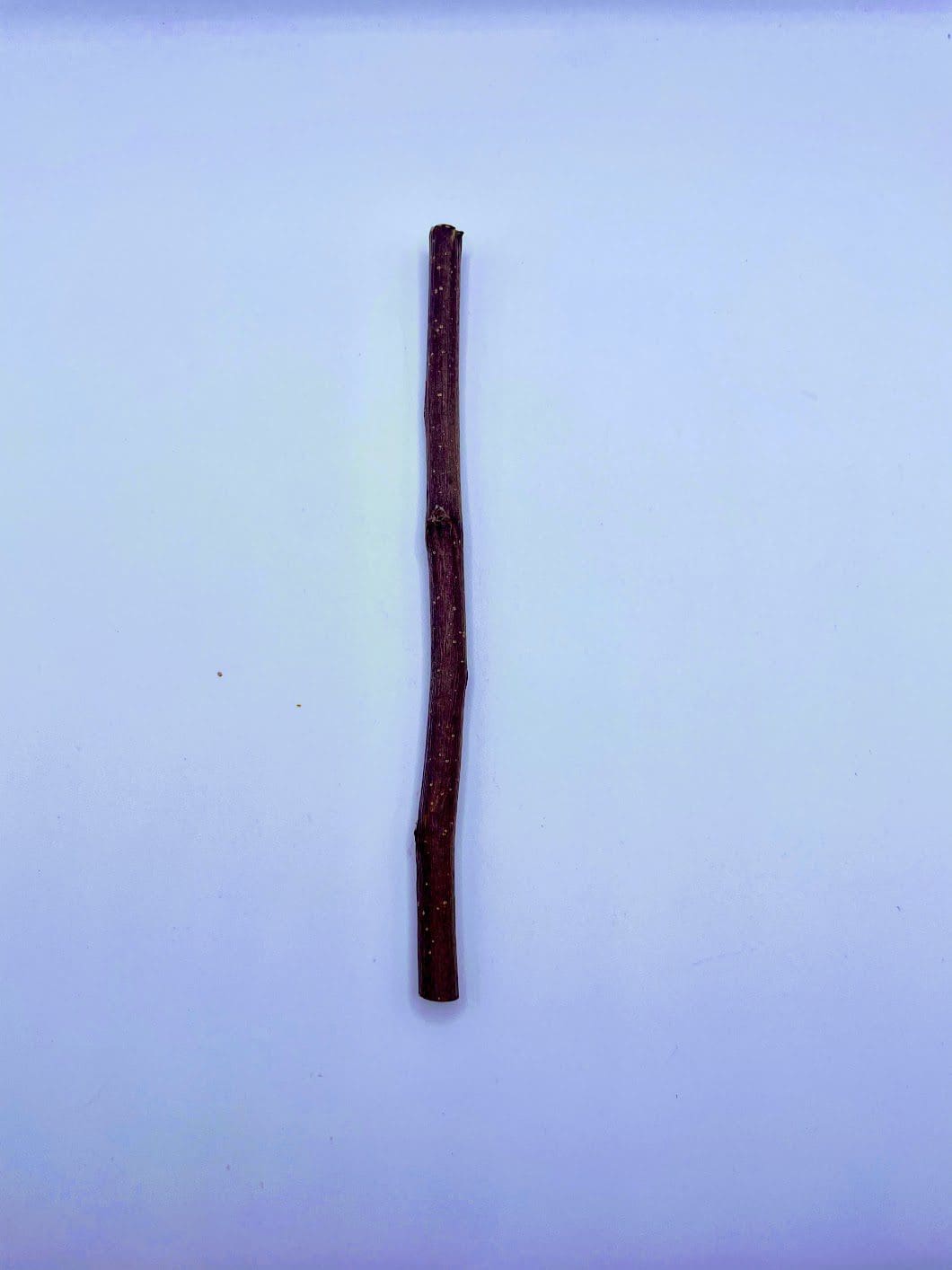 Natural Apple Sticks 200g/500g, Small Animals Molar Wood Chew Toys for Rabbits, Chinchilla, Guinea Pigs, Parrot, Hamster Apple Chew Sticks Toys Treats - Image 5
